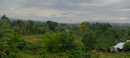 Foton av 
