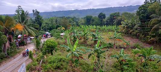 Foton av 