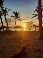 Photos of 3B Beach Resort Alegria
