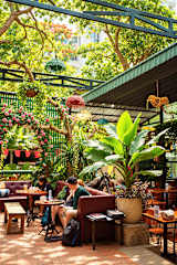 Photos of Secret Garden – Wandernest Cat Ba