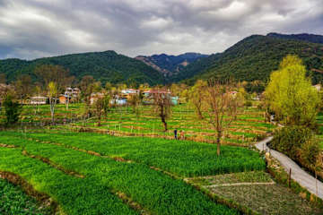 Photos of Flashpackers Bir