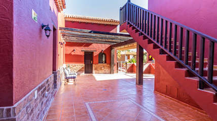 Photos of Ecolife Tenerife