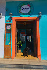 Photos of Bichon la Casa Hostal