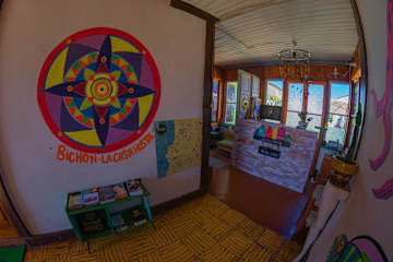 Photos of Bichon la Casa Hostal