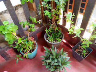 Fotos de