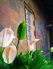 Photos of Velvet Centro Historico