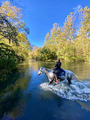 Photos of Italyfarmstay