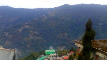 Fotky