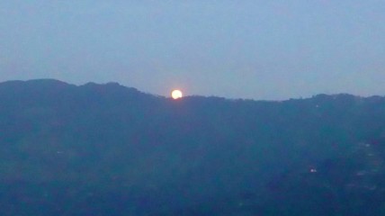 Fotky