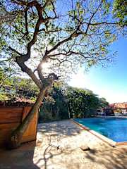 Photos of The Eco Palace Hostel