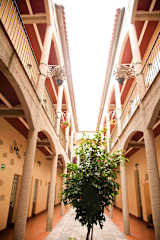 Foto di