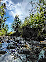 Photos of Hostel y Camping Sin Fronteras Mendoza