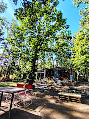 Photos of Hostel y Camping Sin Fronteras Mendoza