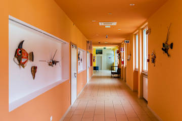 Bilder av