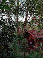 Photos of PachaMama Bio