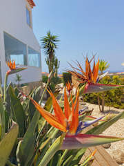 Fotos de The Lighthouse Hostel Arrifana