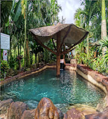 Photos of Hotel Palmera Real Hot Springs