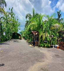 Photos of Hotel Palmera Real Hot Springs