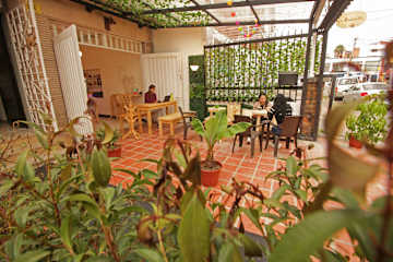 Foto di