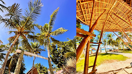 On Board Panglao Beach Hostel and Resortの写真