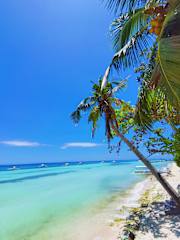 On Board Panglao Beach Hostel and Resortの写真