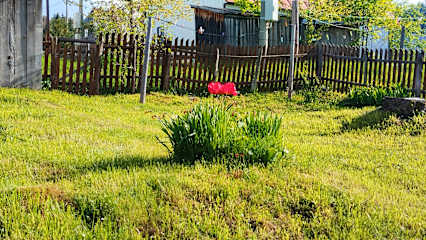 Fotos de 