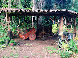 Photos de