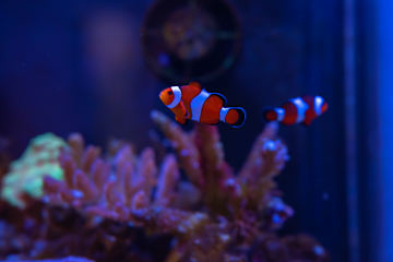 Foto's van 
