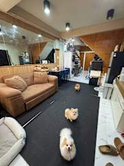Photos of WannaB Hostel