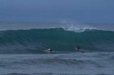 Photos of Masokut Surf Camp Siberut Mentawai