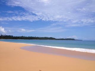 Photos of Masokut Surf Camp Siberut Mentawai