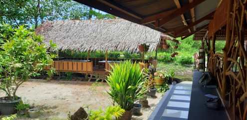 Telescopes Surf Camp의 사진