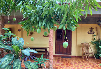 Fotos de Casa Los Mangos