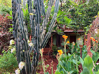 Fotos de Casa Los Mangos