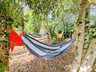 Photos of Loving Strangers Hostel