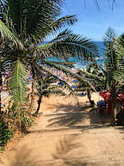 Photos of Hostel do Rasta