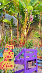 Photos of Hostel do Rasta