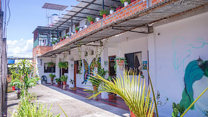Photos of Shoffi's House Backpackers