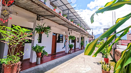 Photos of Shoffi's House Backpackers