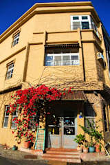 Photos of Wonder Ocean Dive Hostel