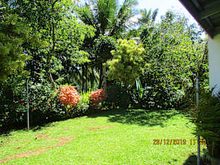 Photos of Koon Cottage