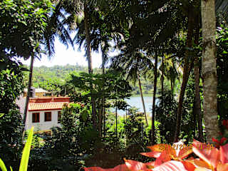 Photos of Koon Cottage
