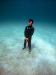 Bilder av 