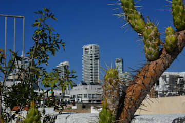 Ofek's Place - Midtowmの写真