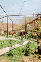 Photos of Pupa House