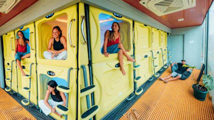 Photos of Pupa House
