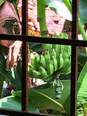 Photos of Hotel Bodhgaya Inn