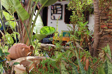 Photos of Diabat Hostel
