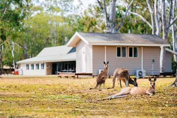 Photos of Kangarooms Noosa Everglades