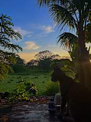 Tiki Hostel Ometepe의 사진